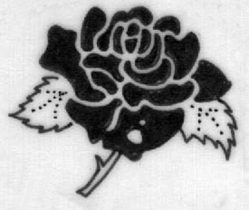old school black rose